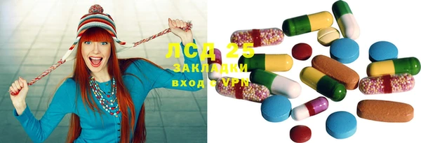 индика Саяногорск