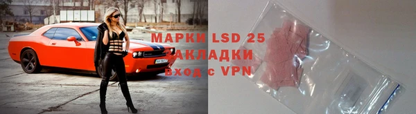 ПСИЛОЦИБИНОВЫЕ ГРИБЫ Балабаново