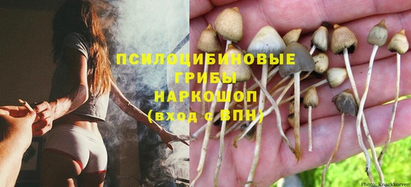 амф Балахна