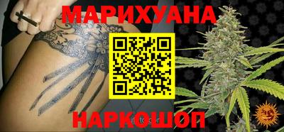 гидра Будённовск
