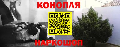 стафф Бугуруслан