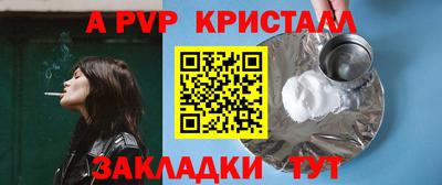 гидра Будённовск