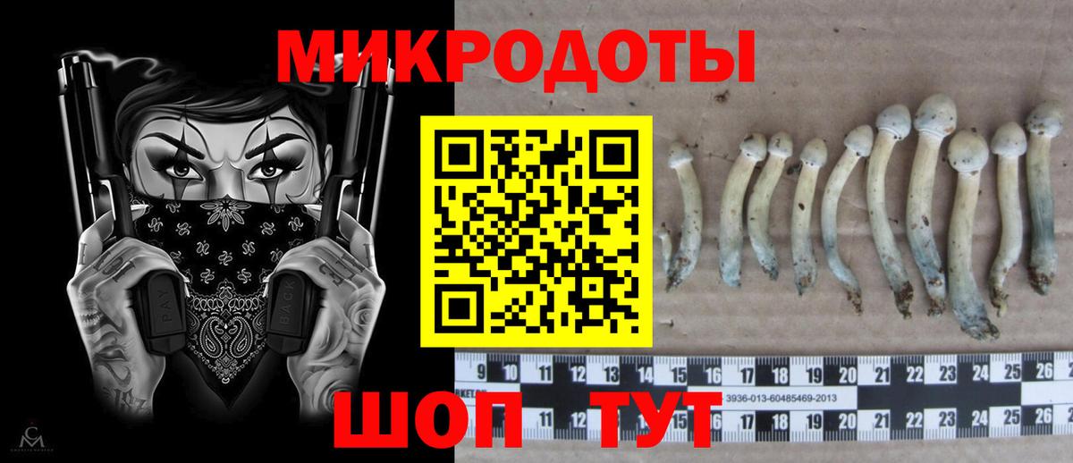 Псилоцибиновые грибы GOLDEN TEACHER Можга