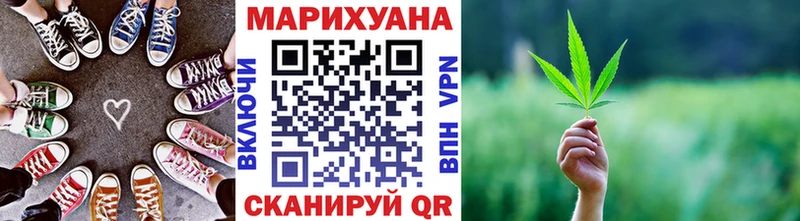 Каннабис сатива  это клад  Можга 